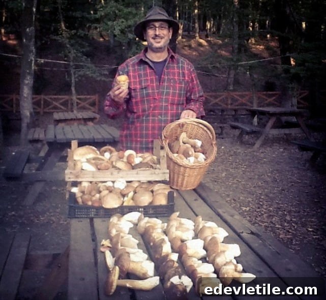 Mushroom hunt and picnic istanbul