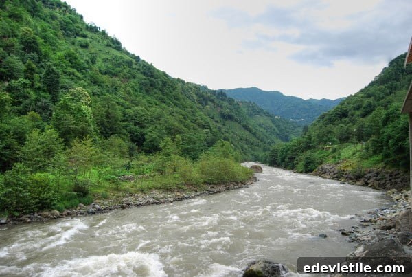 Firtina river Camlihemsin