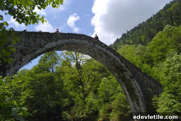 Ottoman stone bridge in the Firtina valley