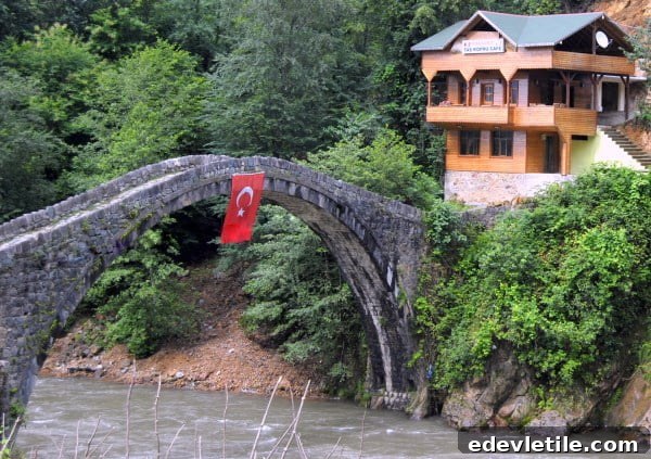 Ottoman bridge over firtina valley