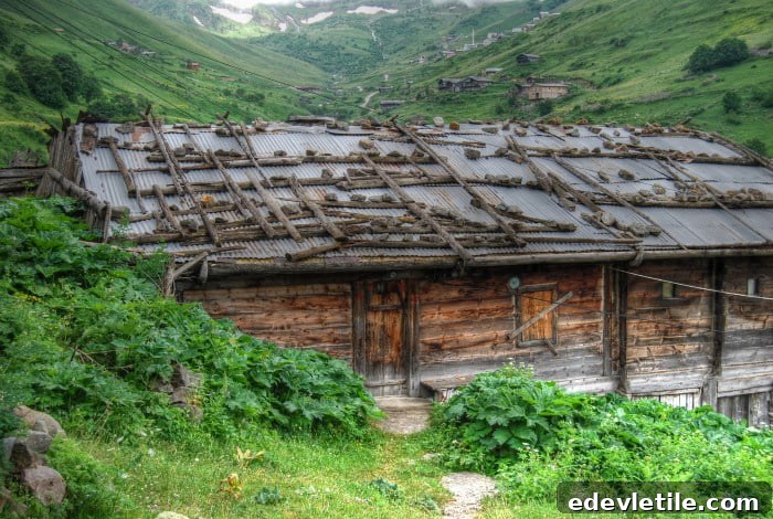 Yayla house of Northeast Turkey