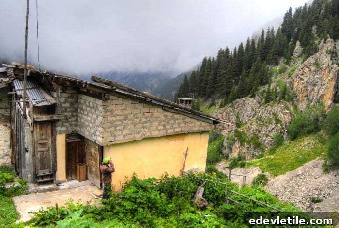 Demirkapi Plateau Uzungol Rize Turkey