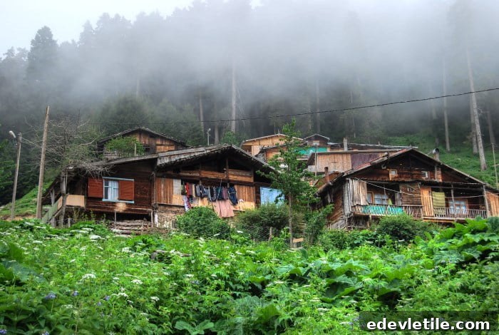 Yayla houses
