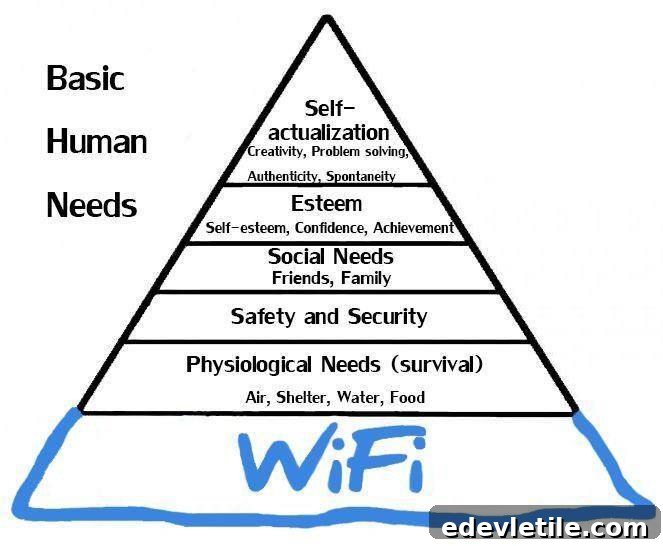 Mobile Internet Access