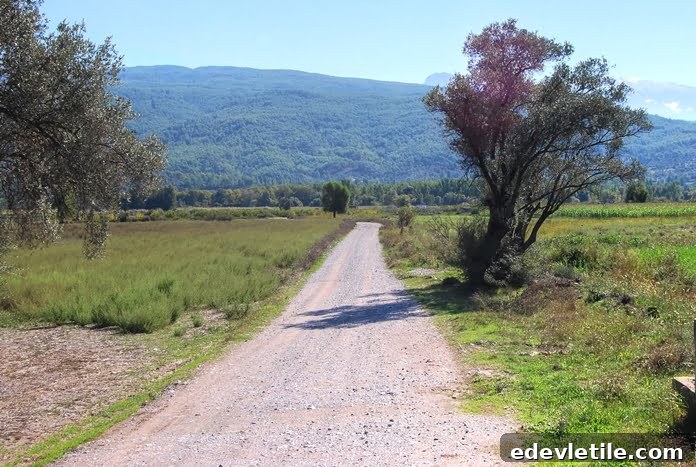 Road in turkey