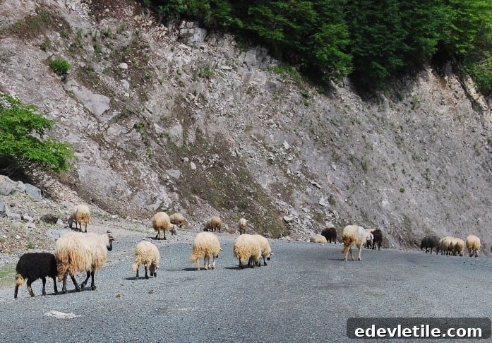 Cycling in turkey