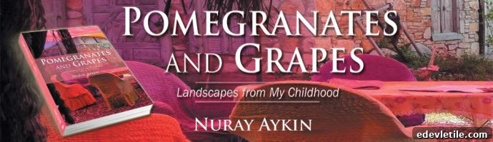 Book about Turkish culture and traditions