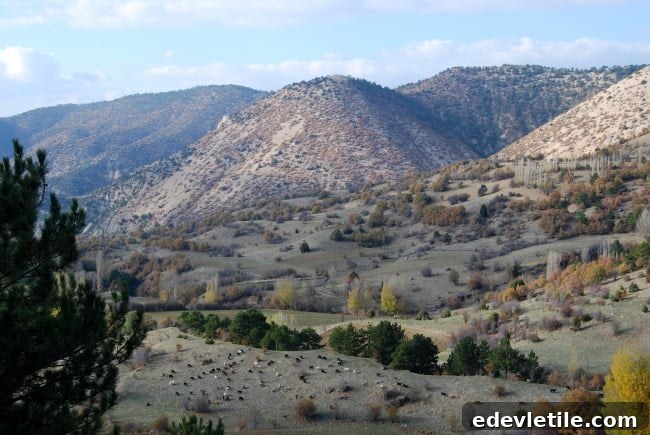 Inozu-vadisi-Beypazari-Ankara