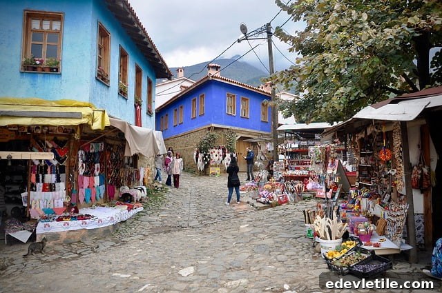 bursa