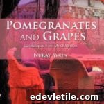 Pomegranates and Grapes