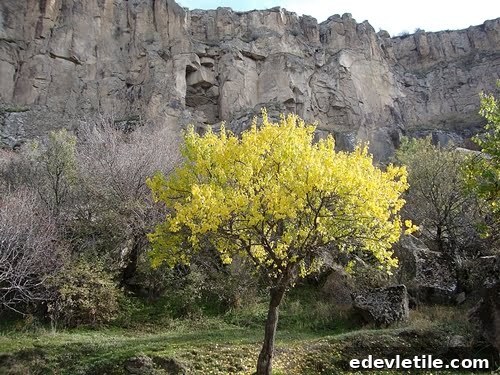 cappadocia valley turkey