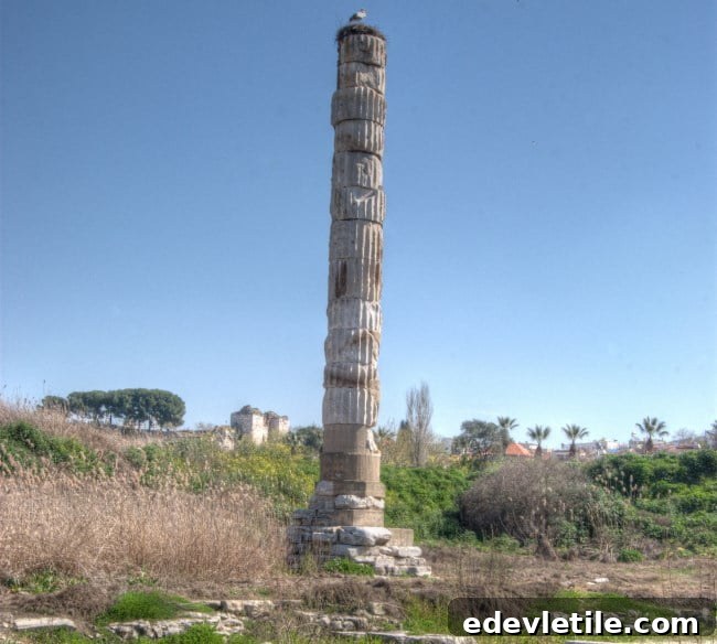 Temple of Artemis at Ephesus Selcuk