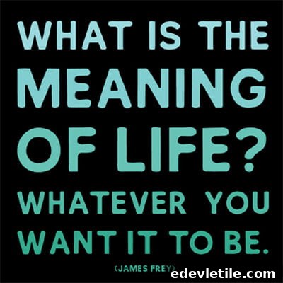life is whatever you want it to be