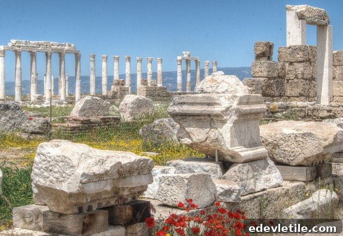Laodicea Revelation
