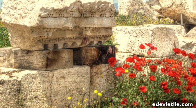Turkey and the ruins of Laodicea
