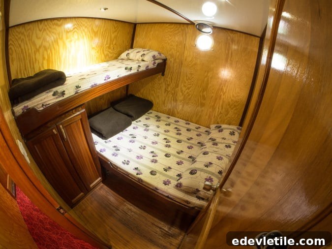 Cabin on a Blue Cruise
