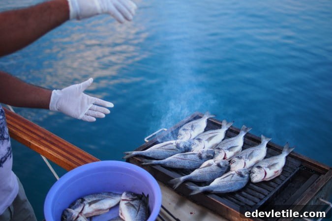Blue Cruise Meals
