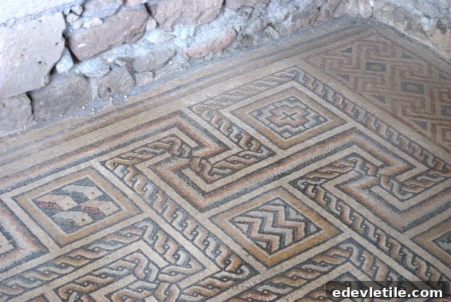 Mosaics at Sobesos Excavation Site