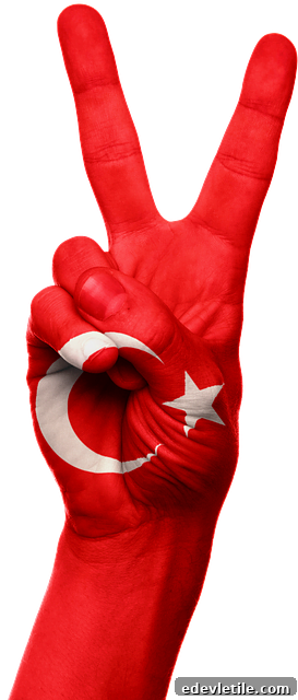 Expats in Turkey