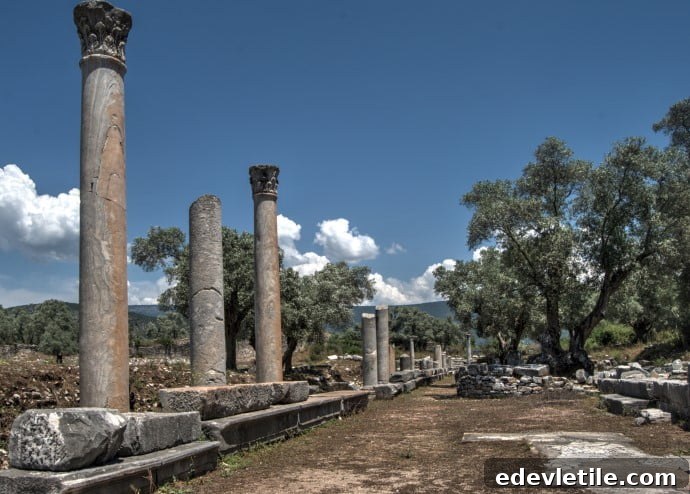 Iasos Bodrum