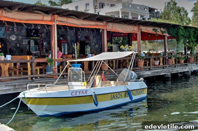 Ceyar Restaurant Iasos