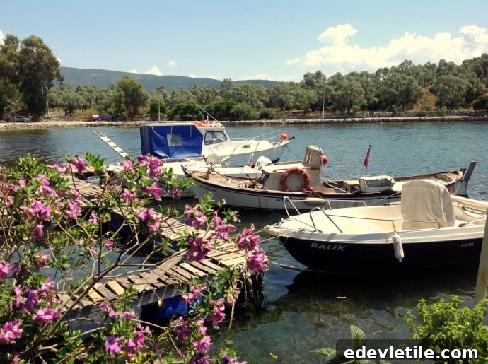 View from Ceyar restaurant Iasos