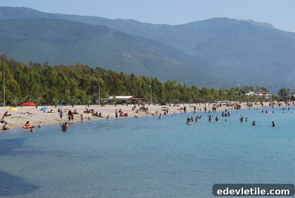 Sevgi plaj davutlar guzelcamli