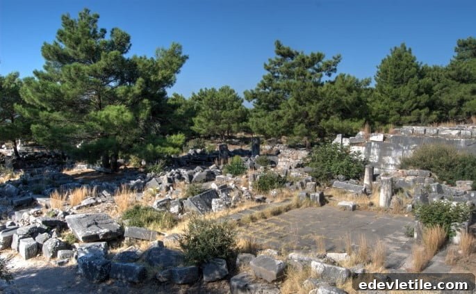 Priene-ancient-city