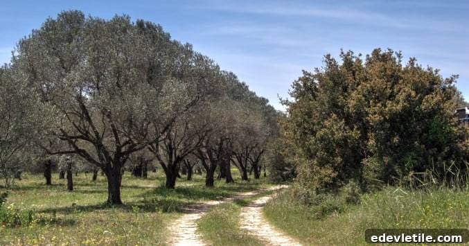 path from Miletus