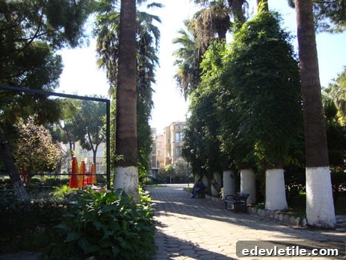 Aegean coast soke
