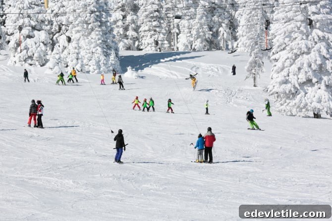 Uludag