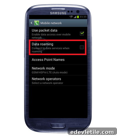 Data roaming charges
