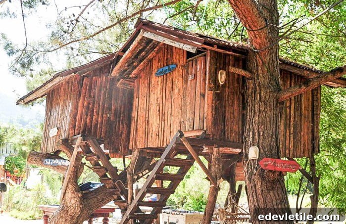 Unusual Tree house hotels in Olympos